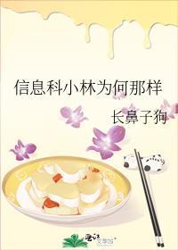 信息科小林为何那样笔趣阁