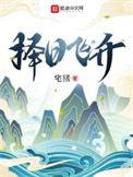 择日飞升小天尊