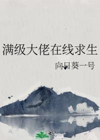 满级大佬角色介绍