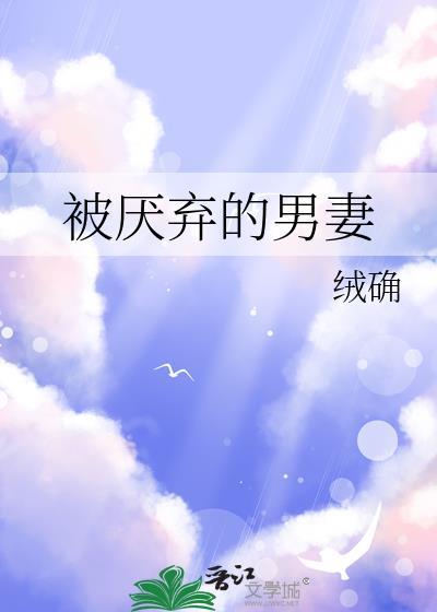 被厌弃的男妻讲了什么