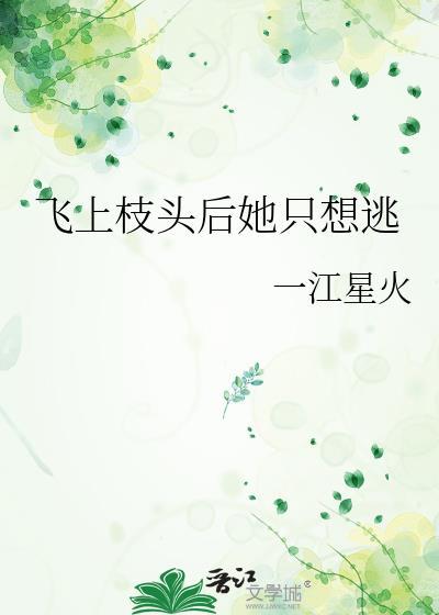 飞上枝头番外阅读